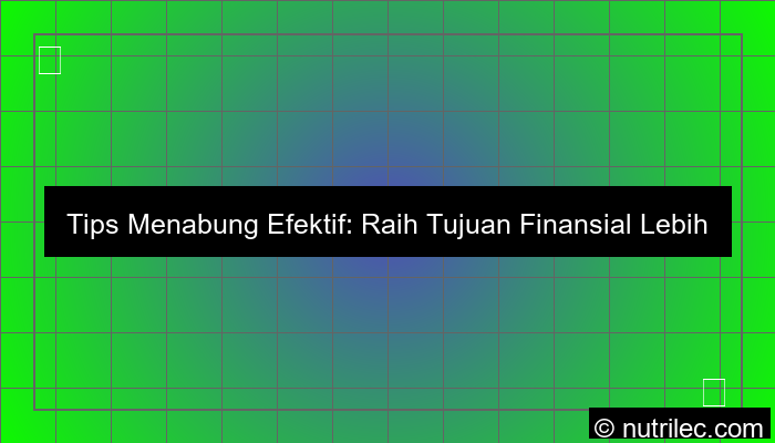 visual tips menabung efektif