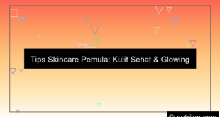 grafik tips skincare pemula